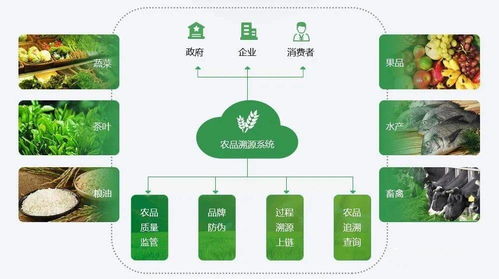 区块链产品溯源系统研发,食品安全可追溯平台解决方案